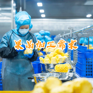 柑橘类鲜果深加工定制加工，承接不知火、沃柑、脐橙果酱、果汁、果脯代工